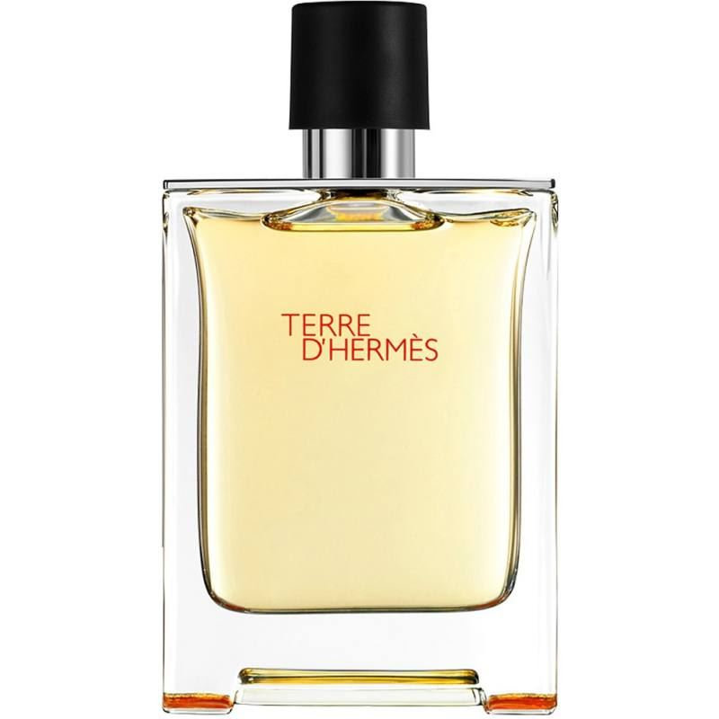 Hermés Terre D' Hermes EDT 100ml Uraknak (3346131400003)