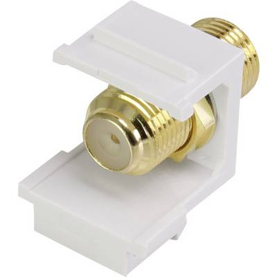 Renkforce RF-KS-FKP F beépítő modul Keystone (RF-3434010)