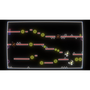 Neon Dungeon