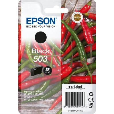 Epson 503 cartuccia d'inchiostro 1 pz Originale Resa standard Nero