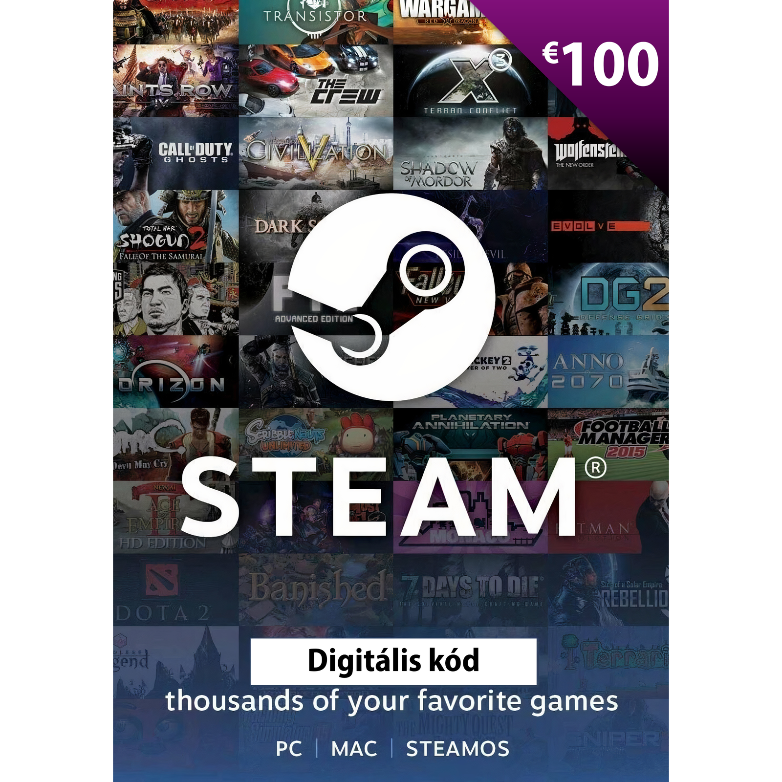 Steam 100€ elektronikus licensz