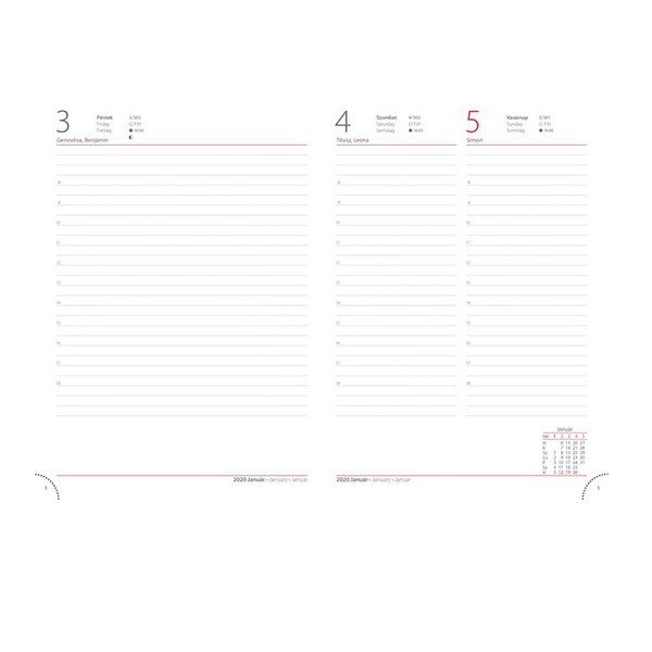 DAYLINER Календар, планер, A5, дневен, DAYLINER Memphis, червено-сив