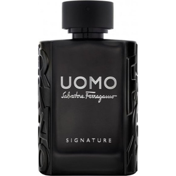 Salvatore Ferragamo Uomo Salvatore Ferragamo Signature EdP 100 ml