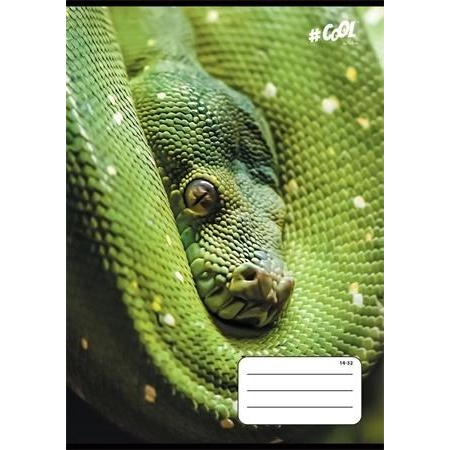 Cool by Victoria tűzött füzet A5, vonalas, 32 lap, 1. osztály Animals (ISVFC68) (ISVFC68)