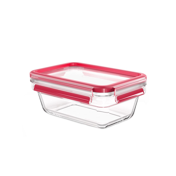 EMSA CLIP & CLOSE N10408 Dreptunghiulare Cutie 0,85 L Transparente 1 buc.