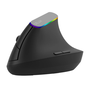 Bezdrôtová vertikálna myš Delux M618c 2.4g 1600dpi Rgb Ergonomická