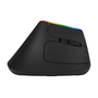 Bezdrôtová vertikálna myš Delux M618c 2.4g 1600dpi Rgb Ergonomická