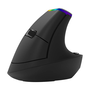 Bezdrôtová vertikálna myš Delux M618c 2.4g 1600dpi Rgb Ergonomická