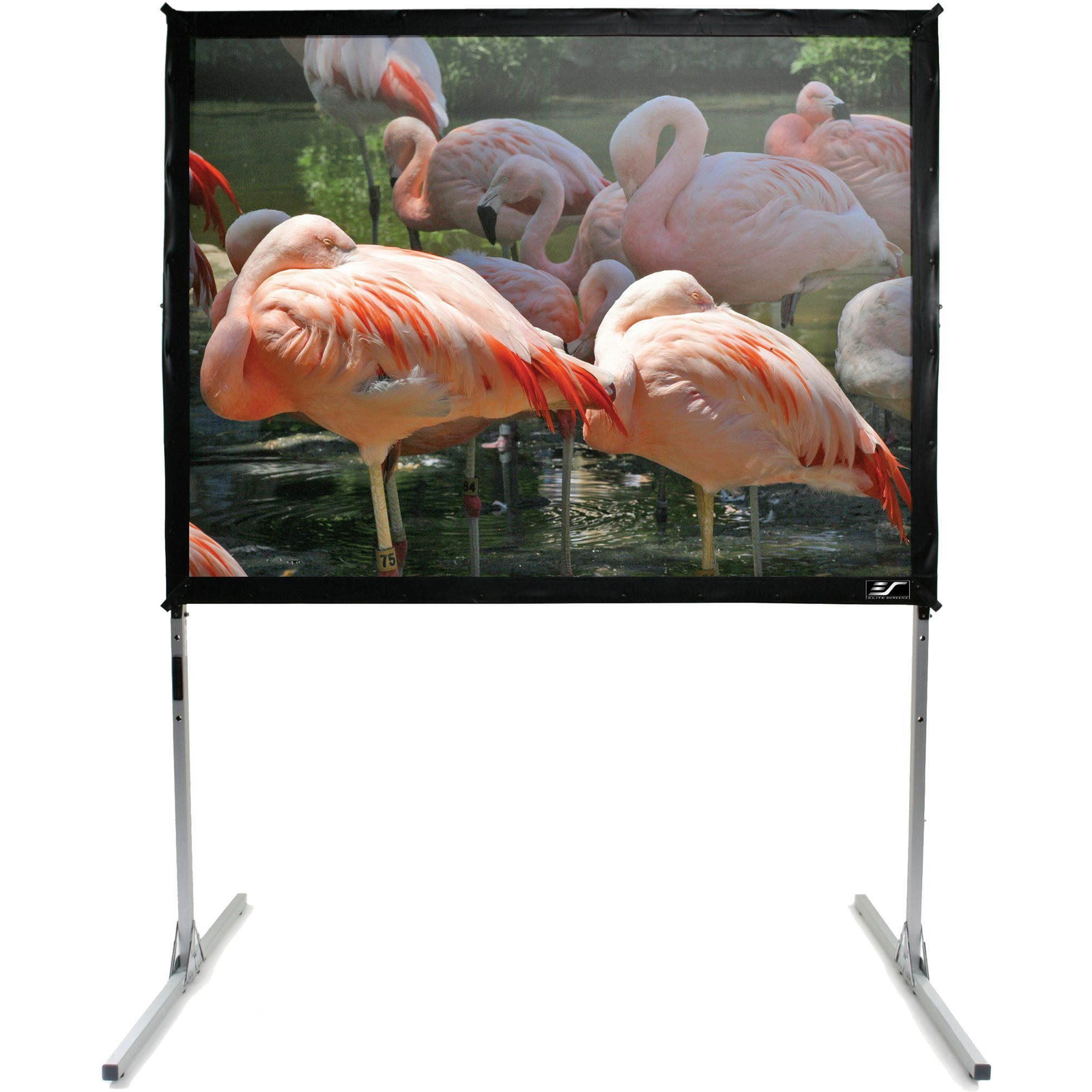 ELITE SCREENS, állványos 150