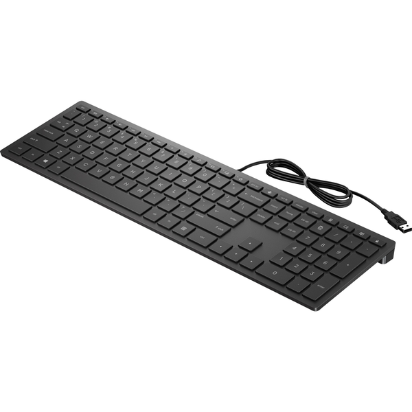 HP Pavilion Wired Keyboard 300 клавиатура Офис USB Черен