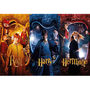 Puzzle Harry Potter Harry, Ron a Hermiona