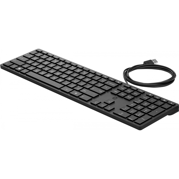 HP Wired Desktop 320K Keyboard klávesnice USB Černá