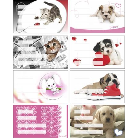 Panta Plast Girls Füzetcímke (24 db/ csomag) (0424-0006-70)