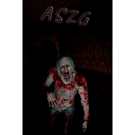 ASZG Project (PC - Steam elektronikus játék licensz)