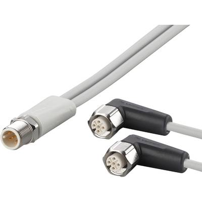 ifm Electronic EVF610 Összekötő vezeték Dugó, egyenes, Alj, hajlított 0.15 m Pólusszám: 4, 5 1 db (EVF610)