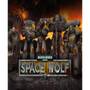 Warhammer 40,000: Space Wolf