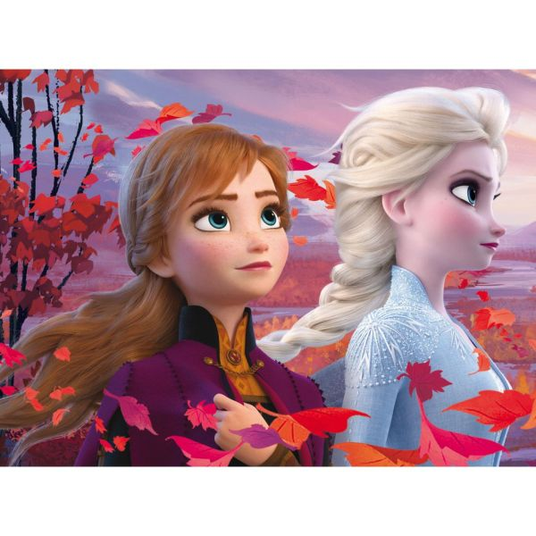 Oboustranné puzzle Eko 60 Frozen