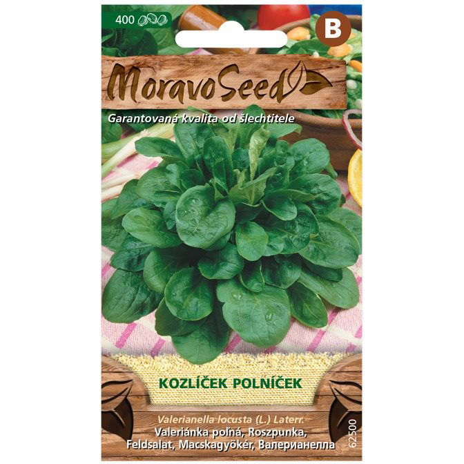 MORAVOSEED Salátagalambbegy (1310mm)