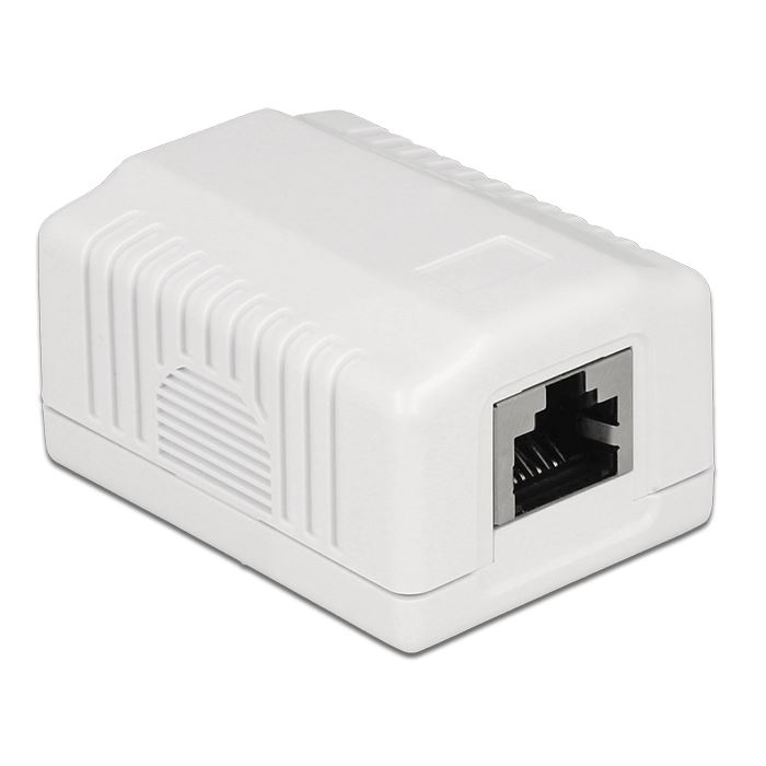 Delock Keystone 1 portos fali aljzat (86196) (d86196)