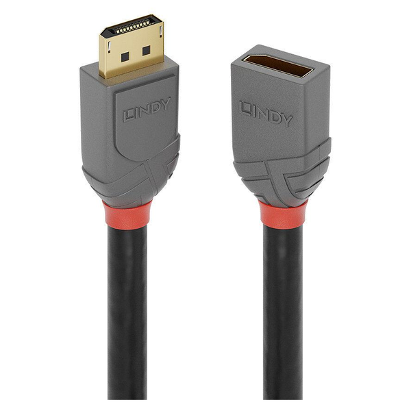 Lindy 36496 DisplayPort kabel 1 m Sort