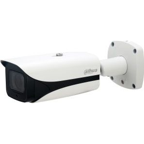 Dahua Technology Pro DH-IPC-HFW5241E-ZE Kugle (form) IP-sikkerhedskamera Udendørs 1920 x 1080 pixel Loft/væg/pæl