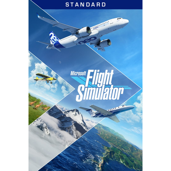 Microsoft Flight Simulator
