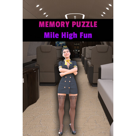 Memory Puzzle - Mile High Fun