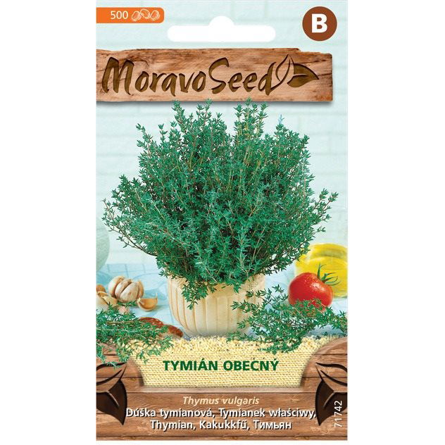 MORAVOSEED Egyszerű kakukkfű (3910mm)