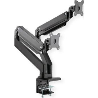 ROLINE LCD TV/Monitor asztali tartó, Dual, VESA 75, 100 (17.03.1117)