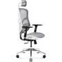 Diablo V-BASIC gaming chair white and grey