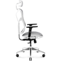 Diablo V-BASIC gaming chair white and grey