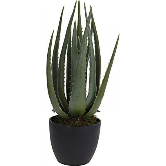 Műnövény Aloe Vera 45cm 317220190