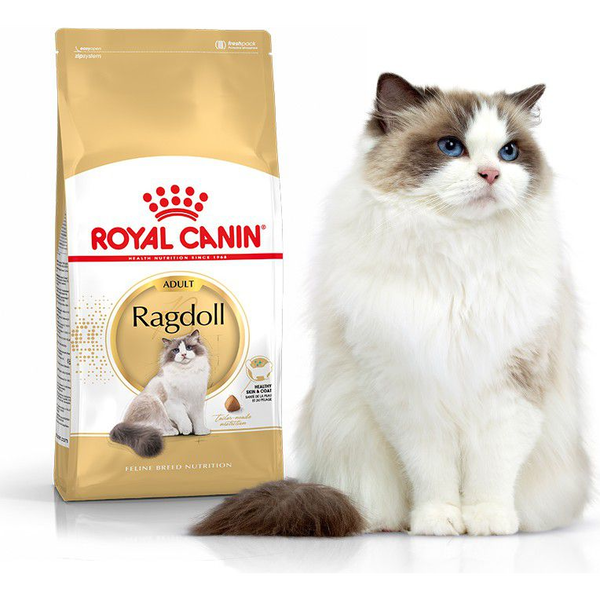 Royal Canin Ragdoll Adult - Ragdoll Felnőtt Macska Száraz Táp  2 Kg