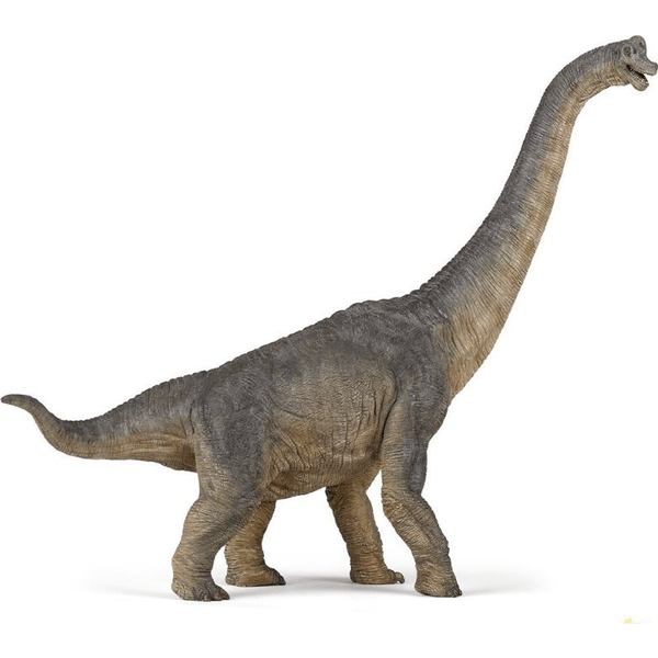 Papo brachiosaurus dínó 55030