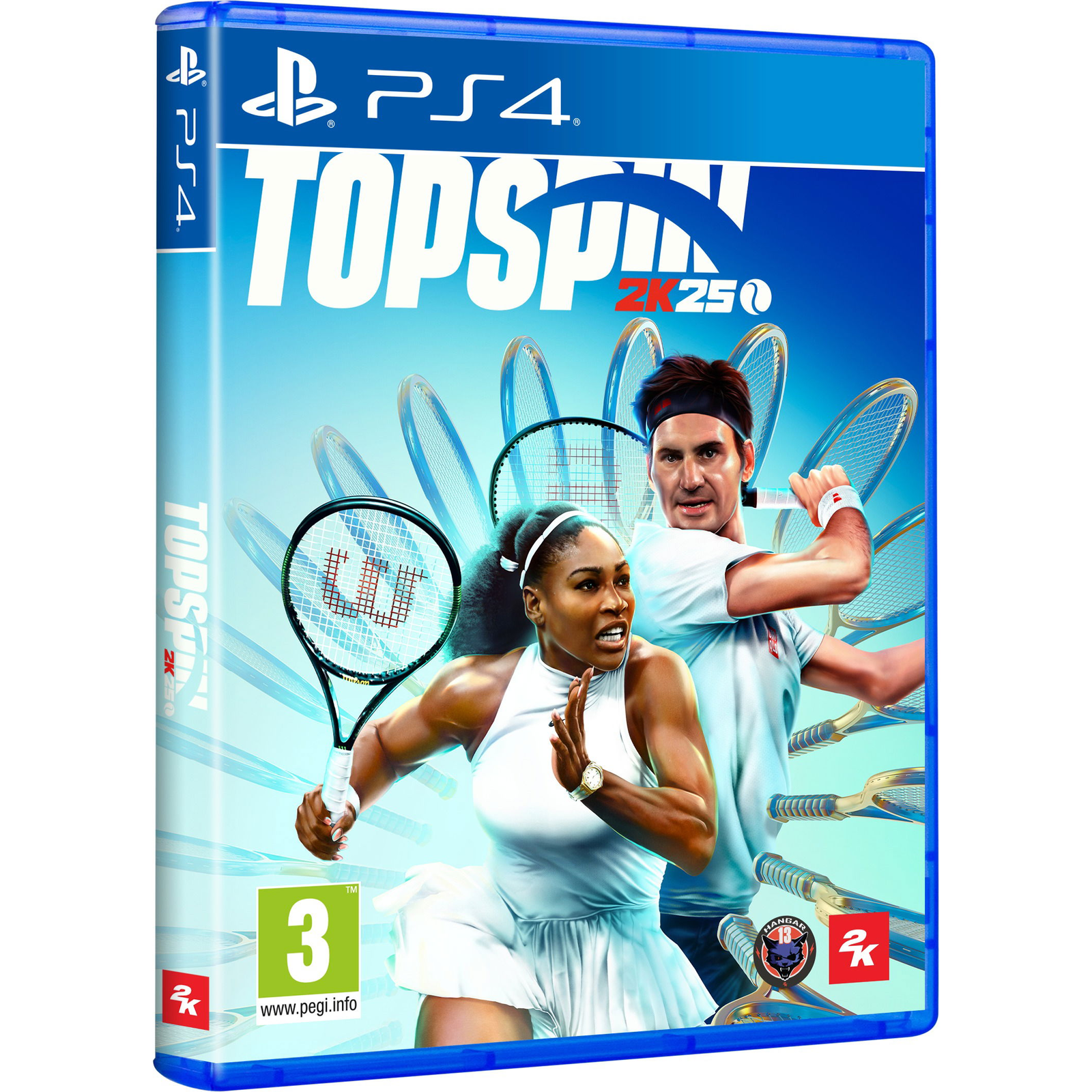 TopSpin 2K25 - PS4 (PC - Dobozos játék)