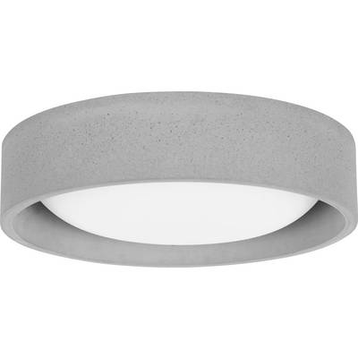 Lucci 08078049 Uno Mennyezeti lámpa GX53 Betonszürke (08078049)
