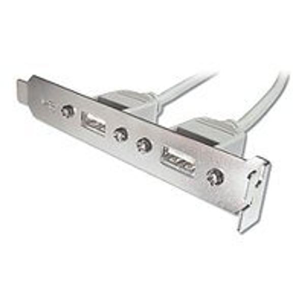 Assmann Bracket 2p Usb 2.0