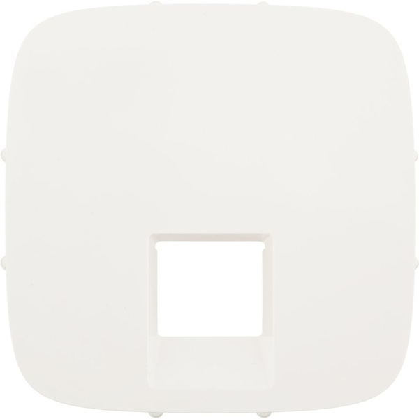 Legrand 755415 veiligheidsplaatje voor stopcontacten Wit
