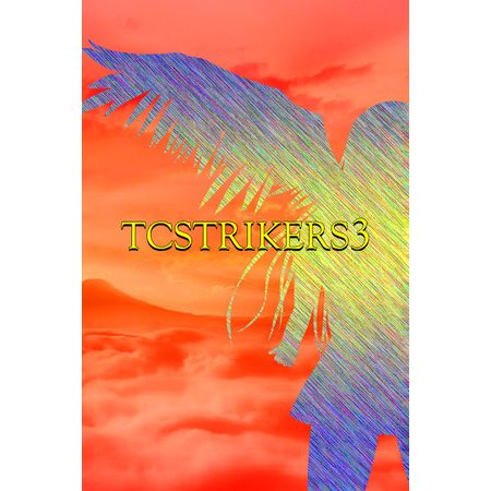 TCSTRIKERS3 (PC - Steam elektronikus játék licensz)