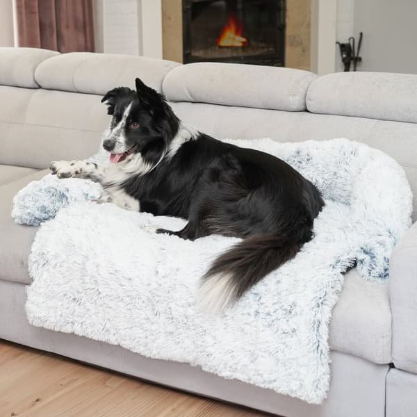 Paw Paw Love - Hundekurv (Medium) - Blå
