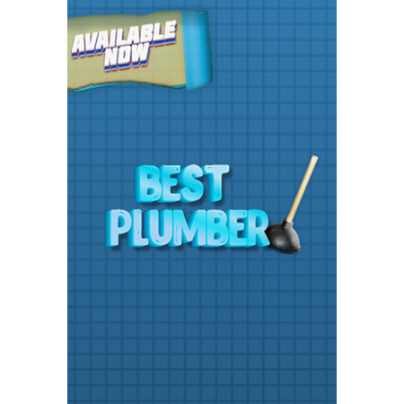 Best Plumber (PC - Steam elektronikus játék licensz)