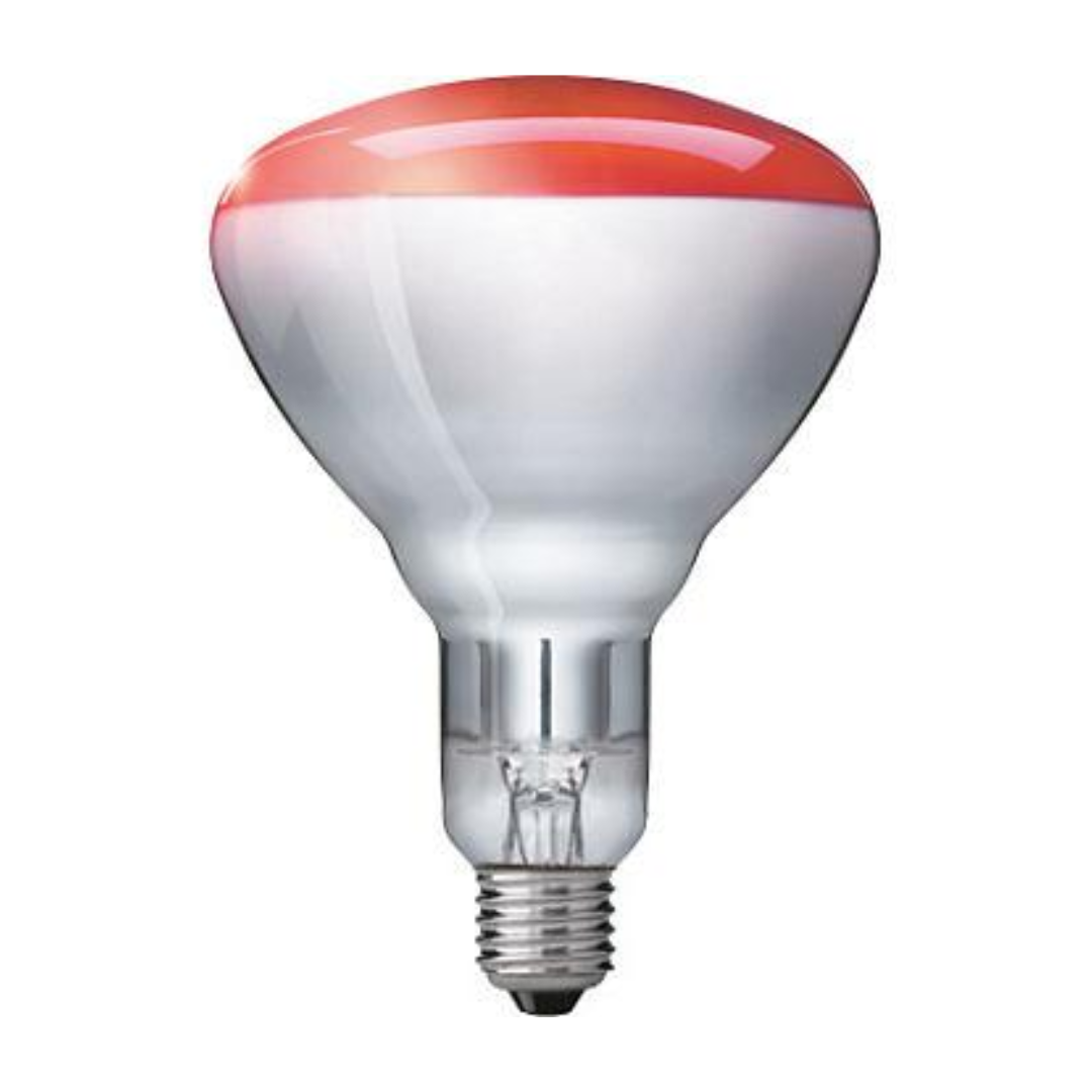 Philips 923212043801 infravörös lámpa 250 W Izzó (57521025)