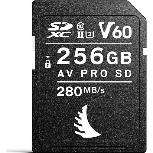 ANGELBIRD SD AV PRO MK2 R280/W160 (V60) 256GB | 1 PACK (AVP256SDMK2V60)