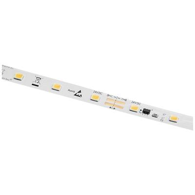 Barthelme (50413328T) (50413328T) LED csík Forrasztható 24 V 5 m Melegfehér 5 m (50413328T)