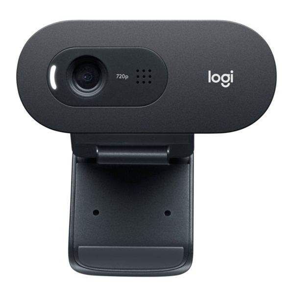Logitech C505 HD webcam 1280 x 720 pixel USB Sort