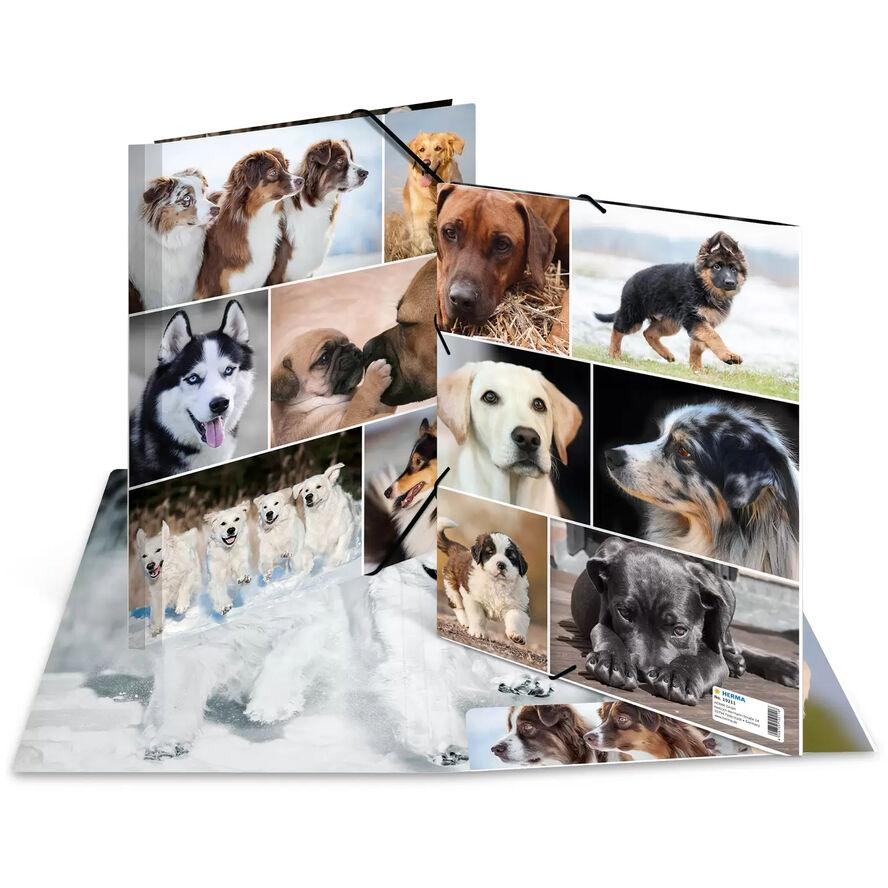 Herma Hunde A4 Karton Gumis mappa - Kutya mintás (19211)