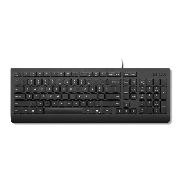 Lenovo TAS      - Lenovo Essential Wired       (GER)