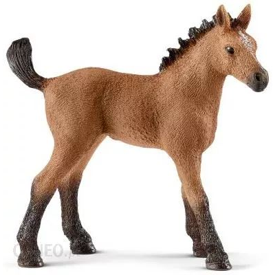 Schleich Quarter H. csikó figura (13854S) (SLH13854S)