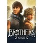 Brothers: A Tale of Two Sons Remake