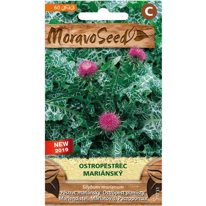 MORAVOSEED CZ Máriatövis (2140mm)
